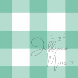 A4 papier (groen - grote ruit)