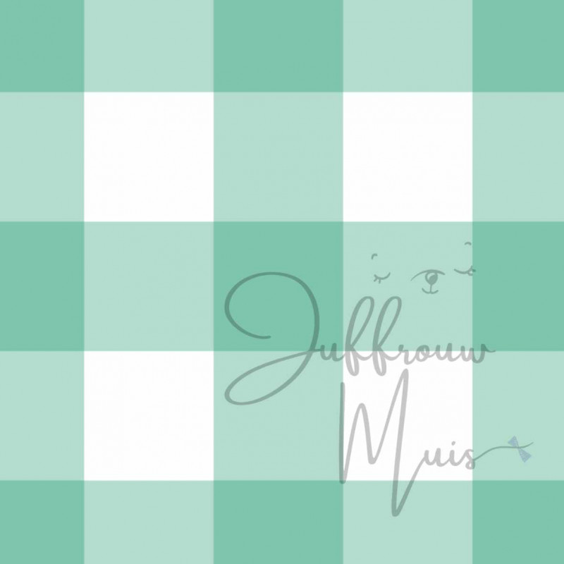 A4 papier (groen - grote ruit)